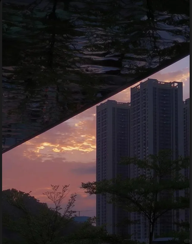 揭秘软件测试工程师的一天🌟