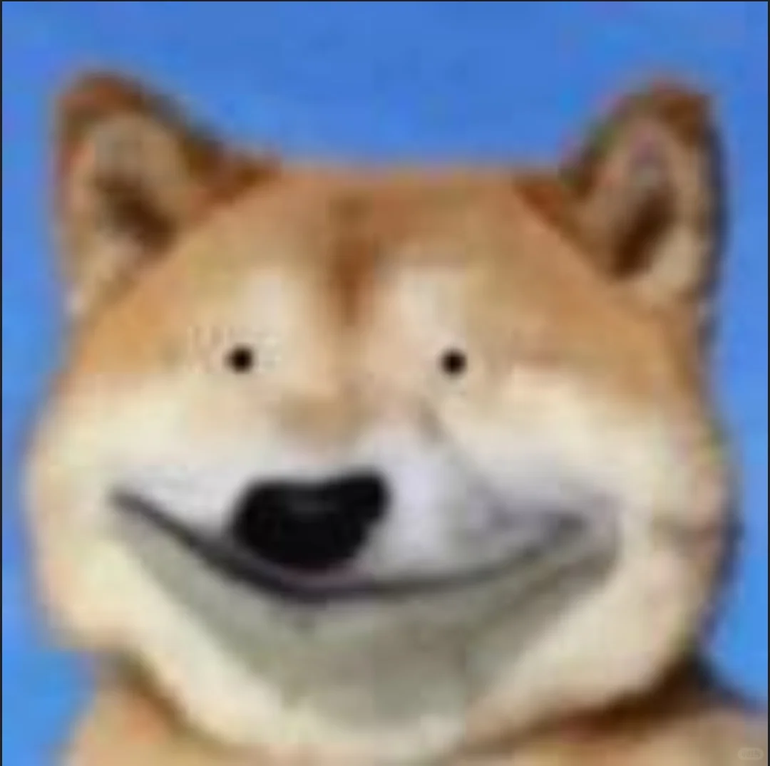 英语听力APP打卡队友