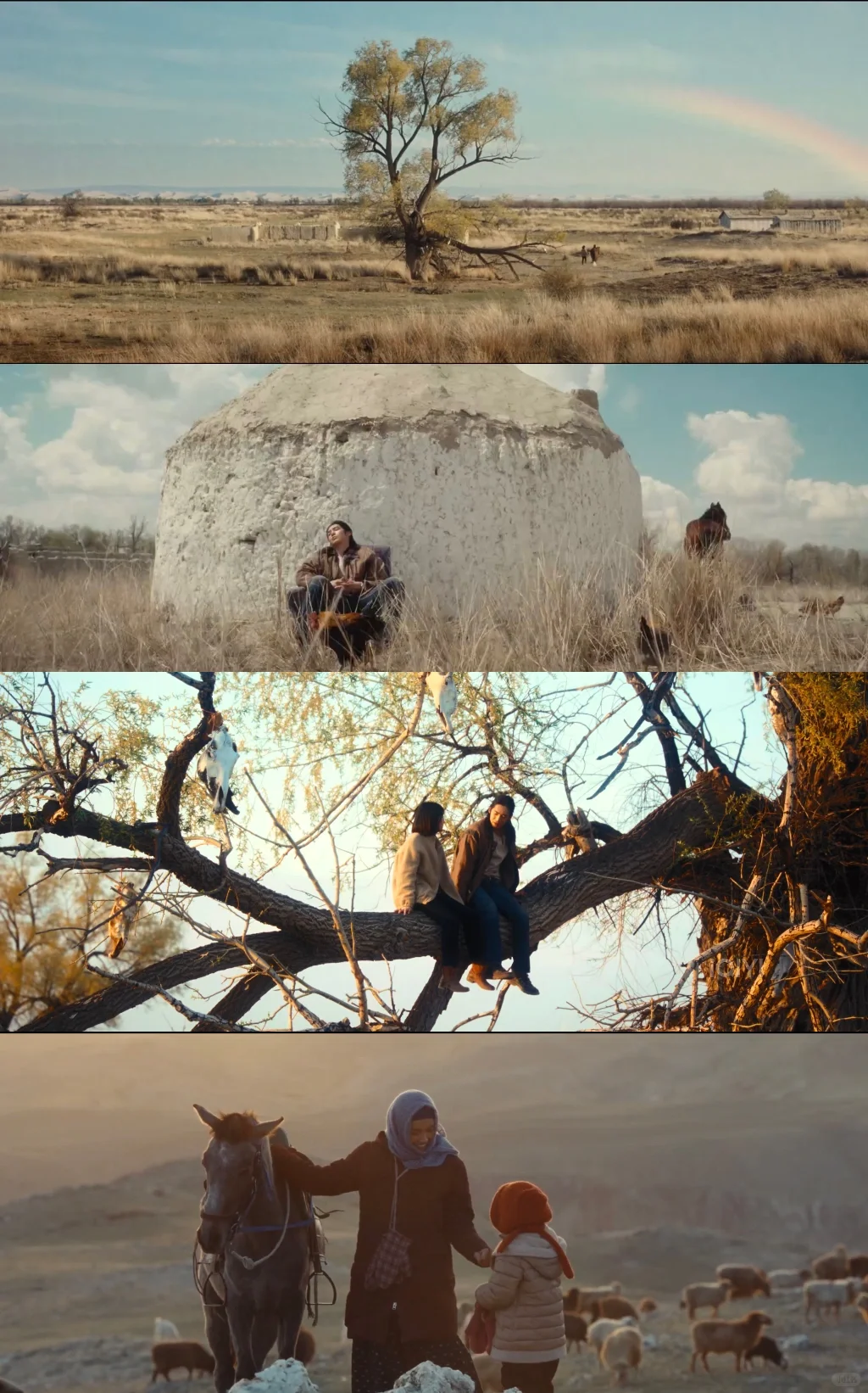 电影质感 镜头美学 丰富内核 人文风情