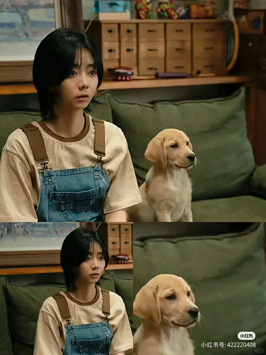 大家有什么电影推荐吗