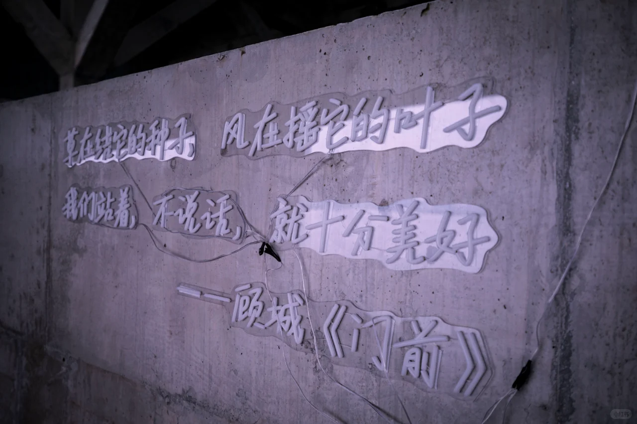 湖畔电影季，滴水生情