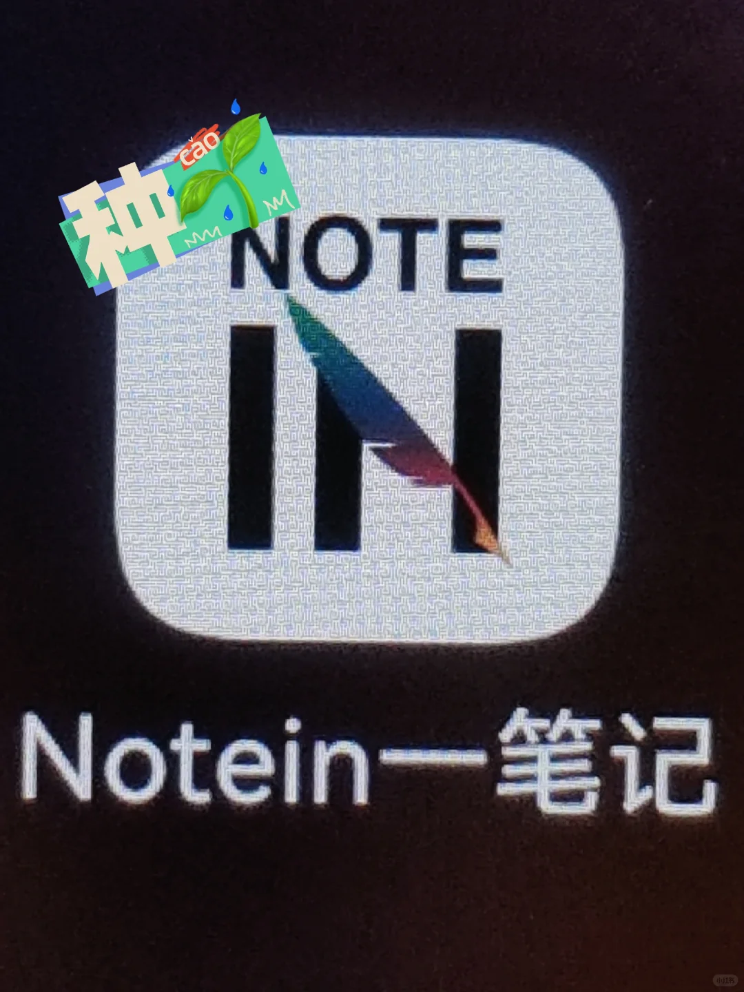 使用数个笔记软件之后,我悟了!