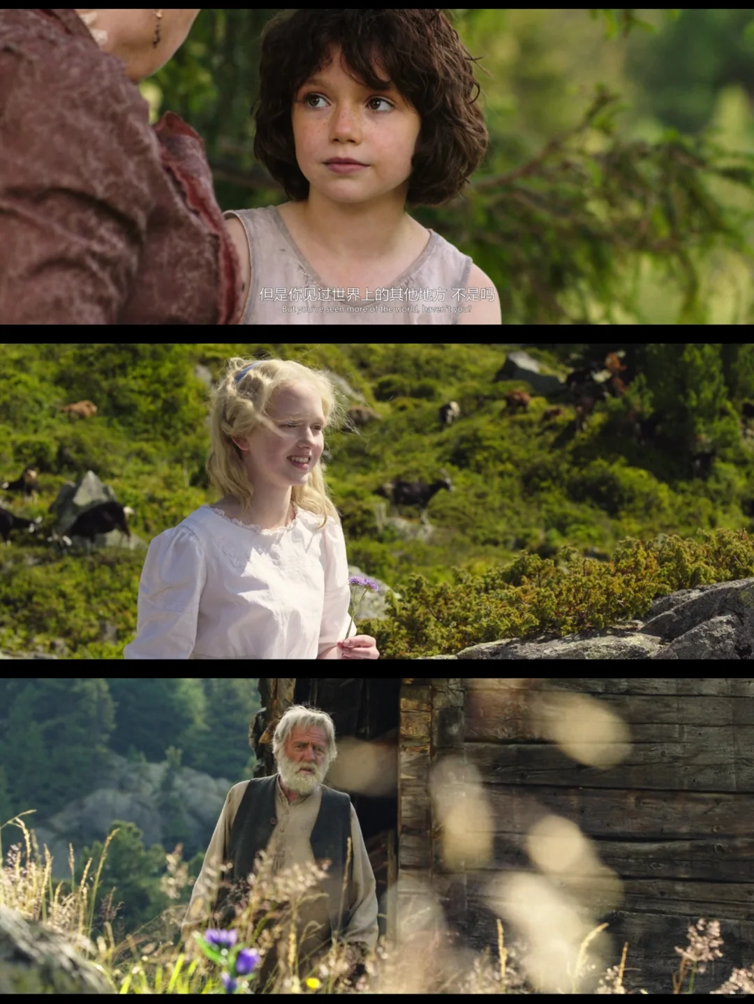 不看后悔系列电影