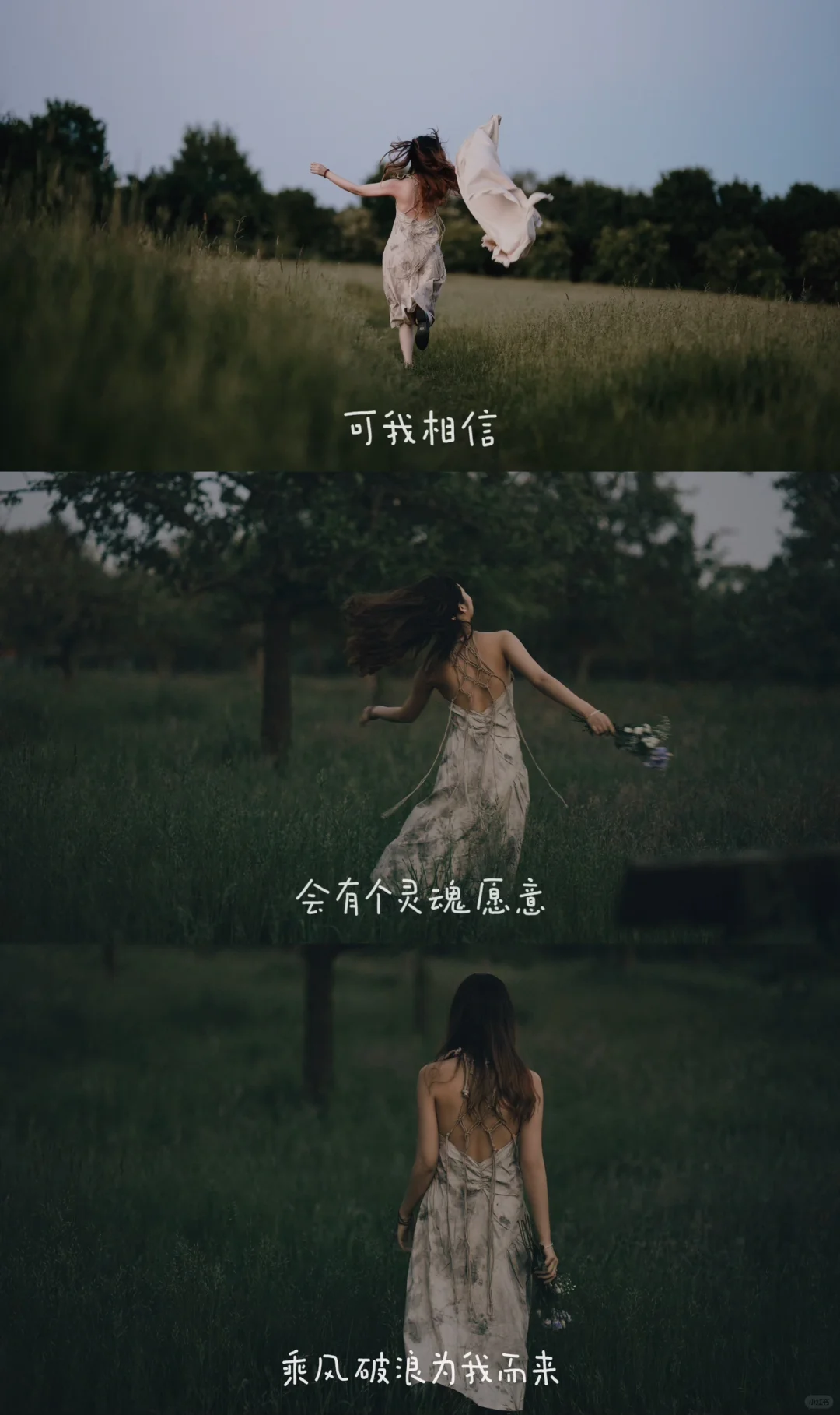 🎬电影版 《我不敢说我曾忠于生活》