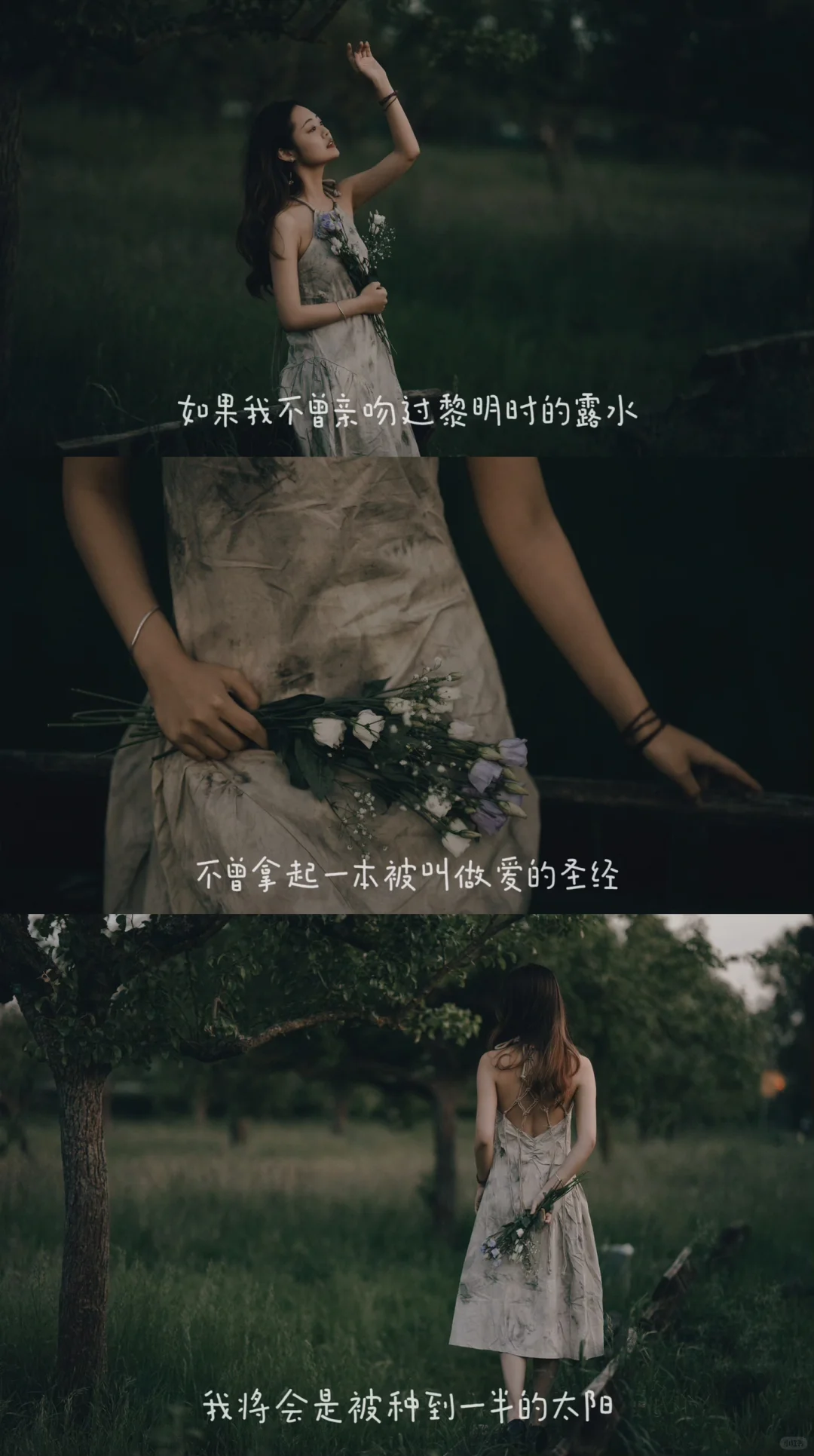 🎬电影版 《我不敢说我曾忠于生活》