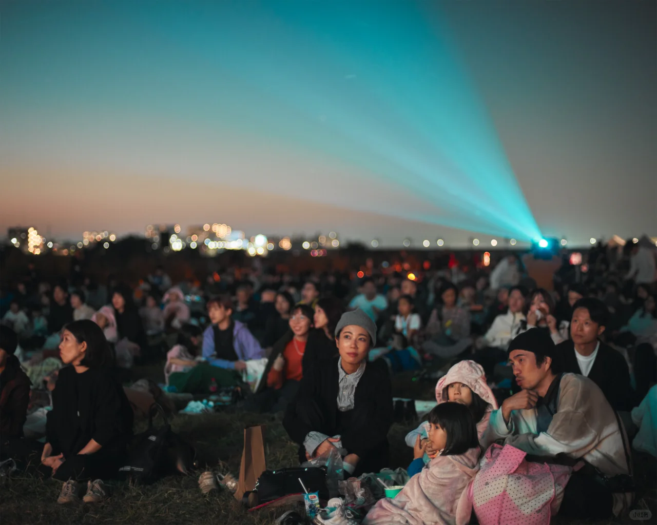 第31届日本KINEKO国际电影节征片中!