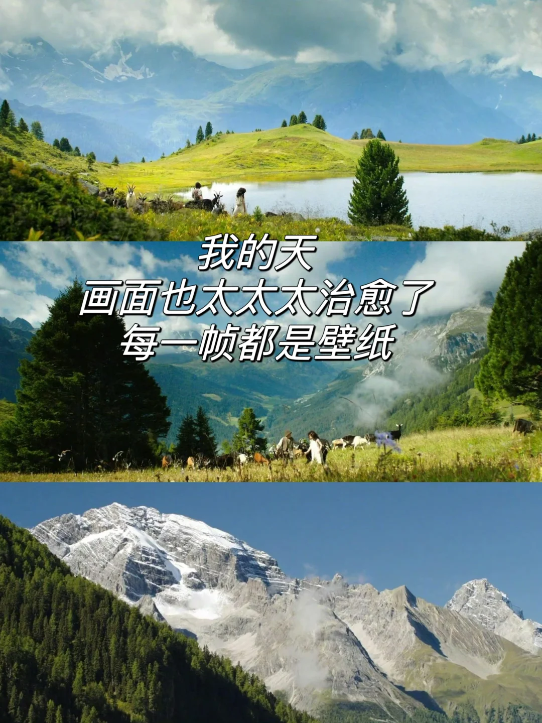 ‼️9.3分❗️一部敲zhi愈且充满爱的电影🎬