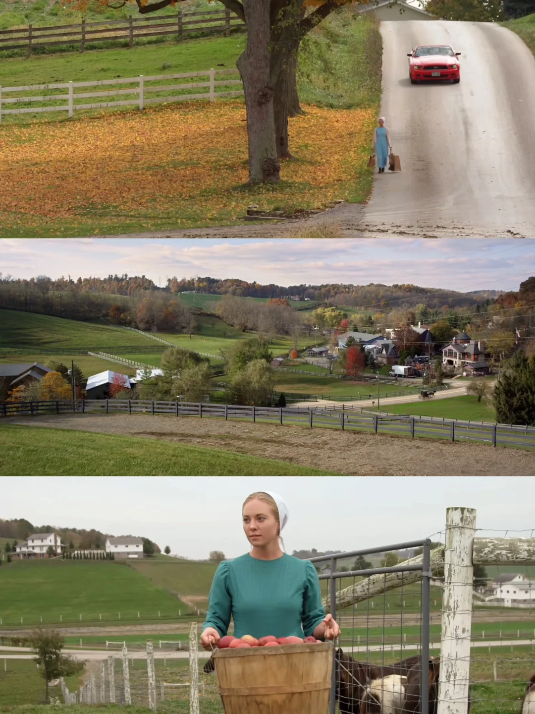 为什么没早点发现这部电影😭