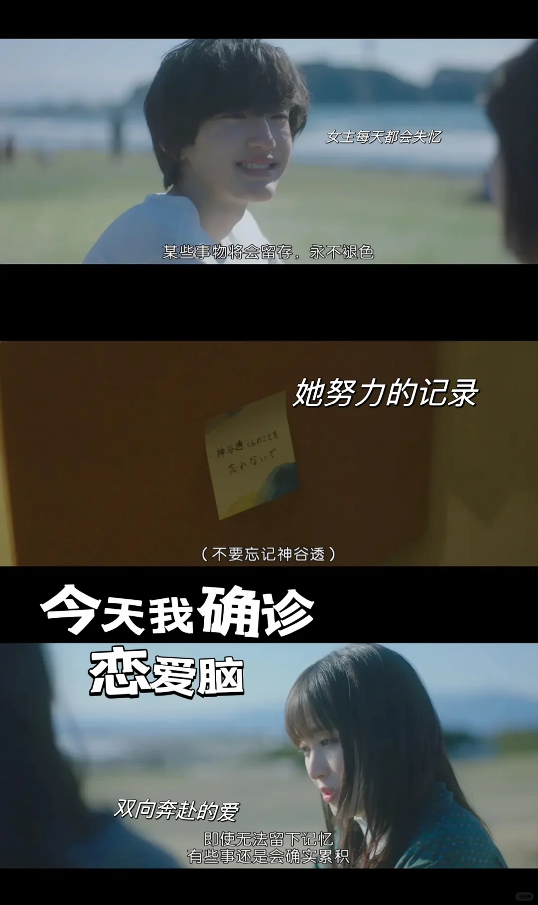 今天用这部电影确诊了恋爱脑！