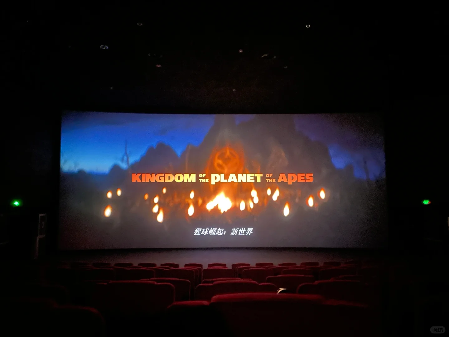 2024《猩球崛起》电影观后感