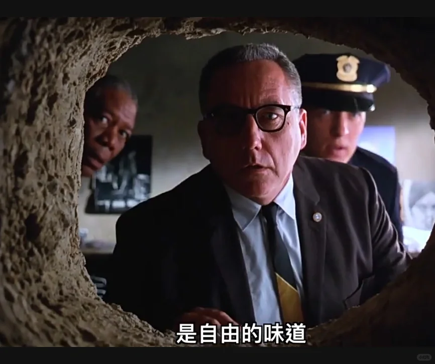 肖申克的救赎，很释放的一部电影