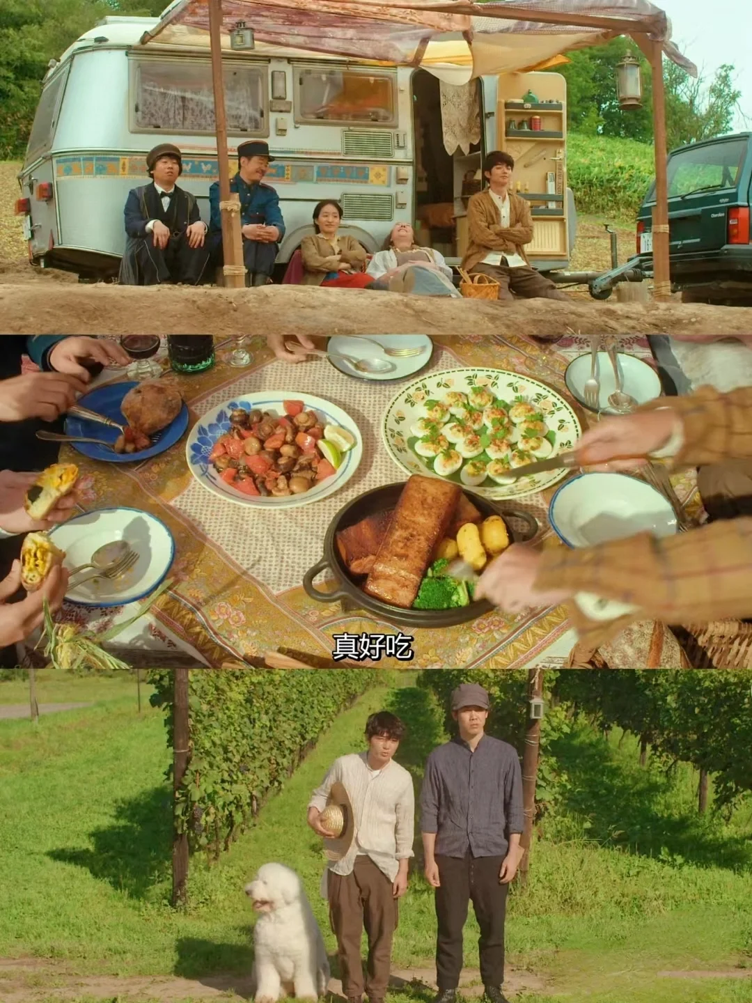 这电影太太太美好了！