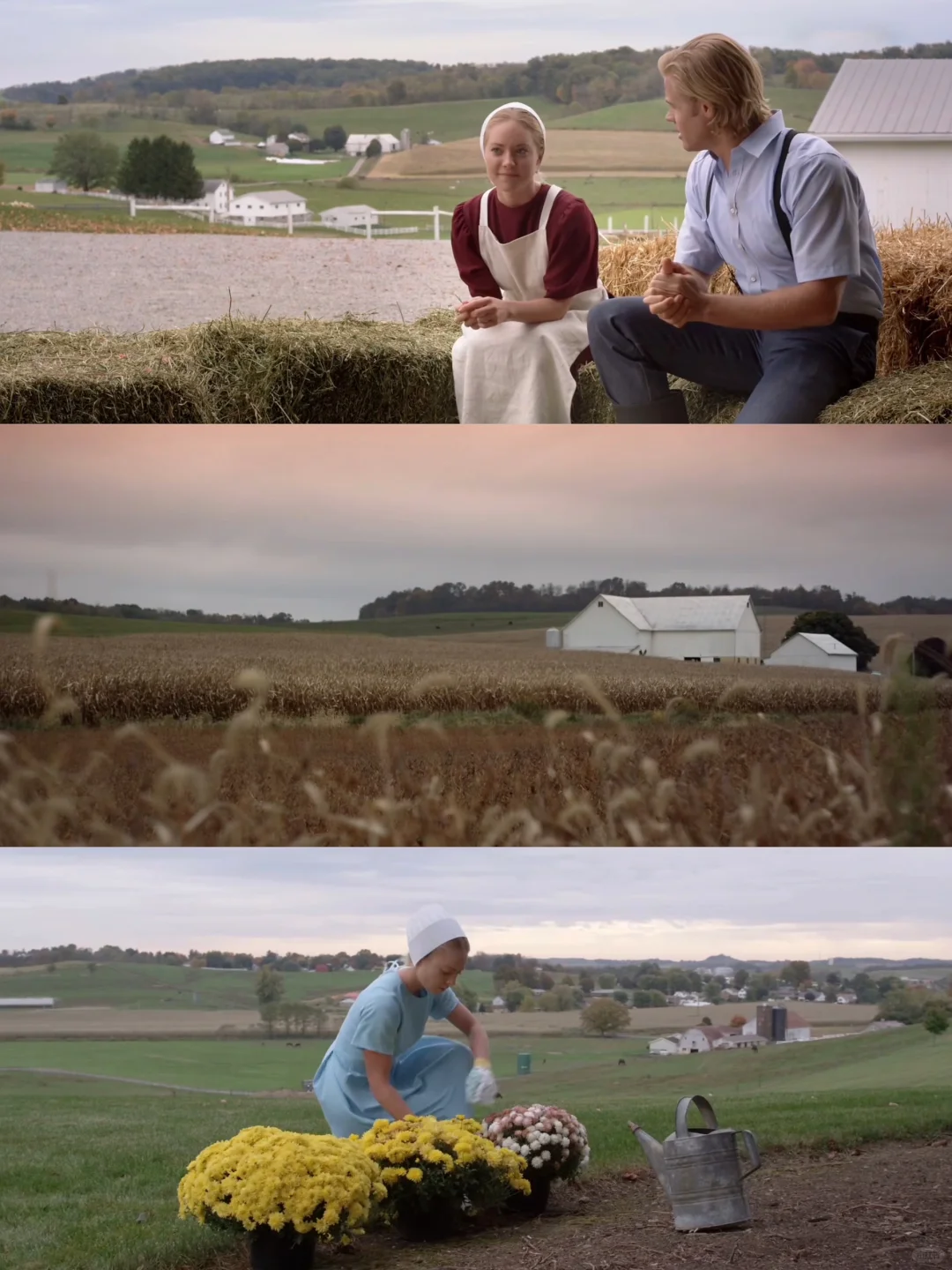 为什么没早点发现这部电影😭