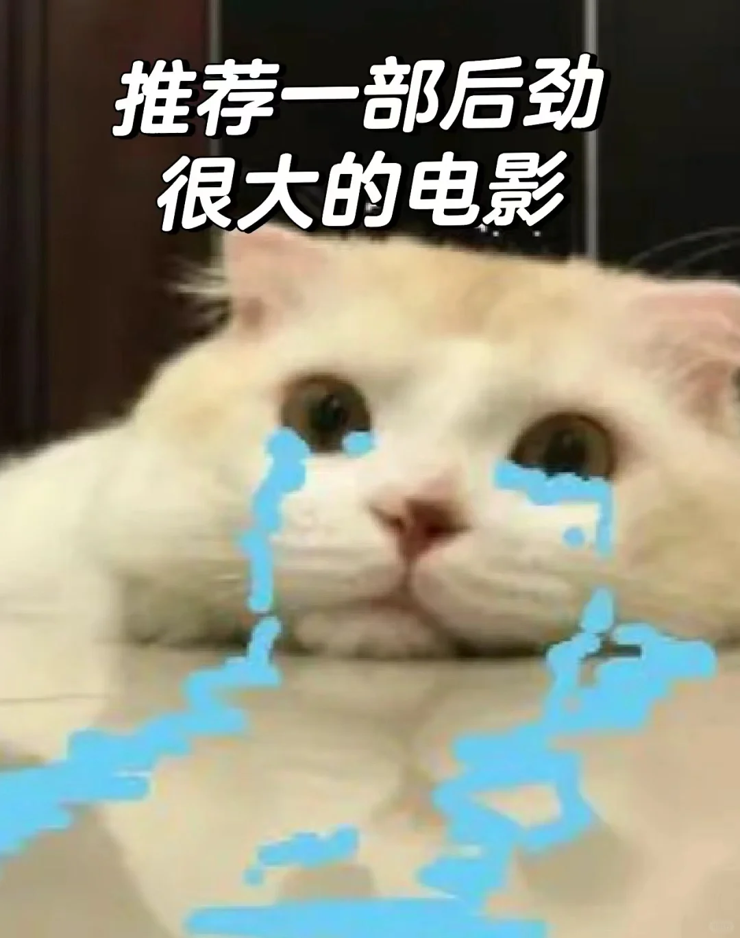 求推荐一部后劲很大的电影😭😭