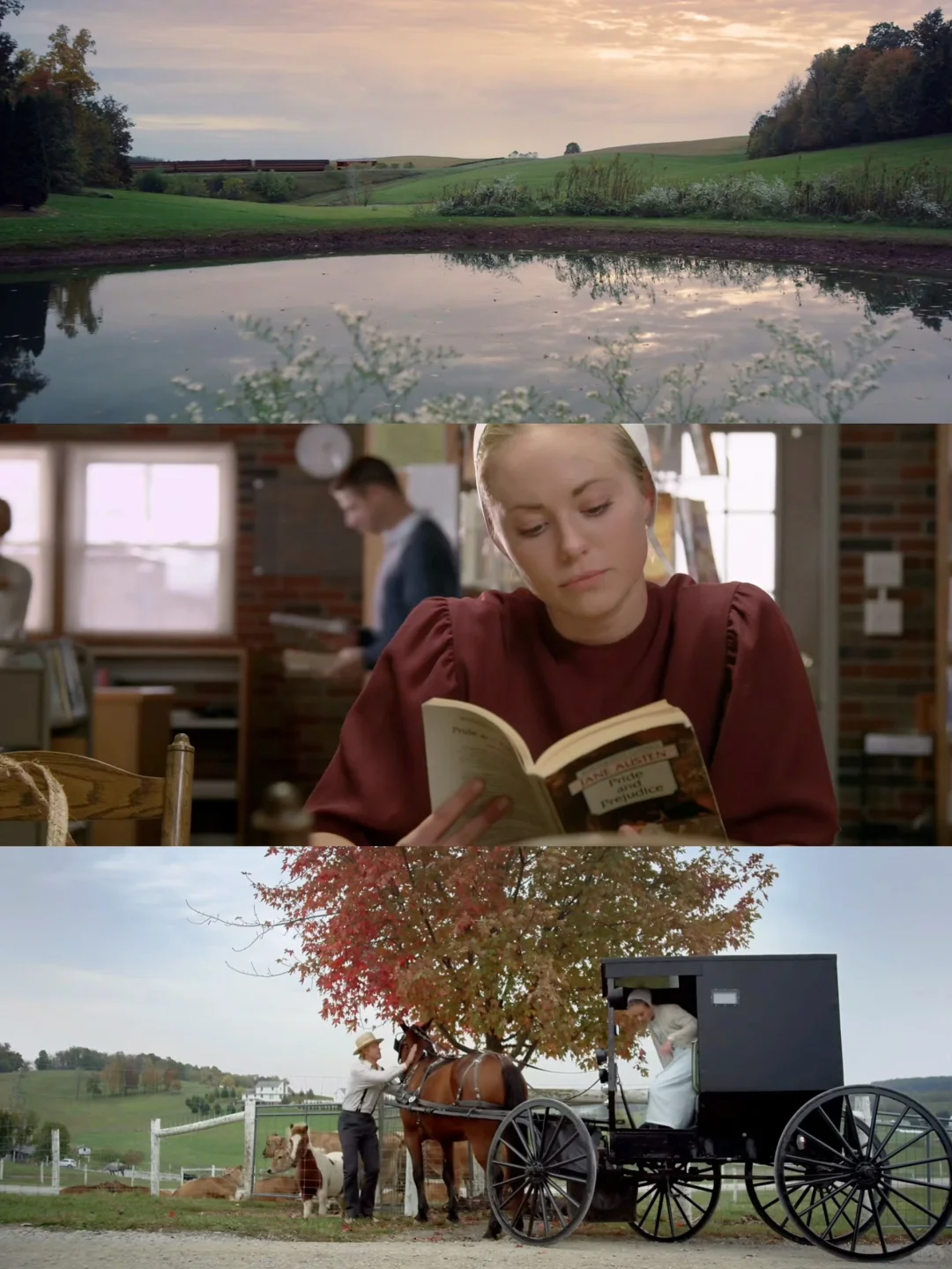 为什么没早点发现这部电影😭