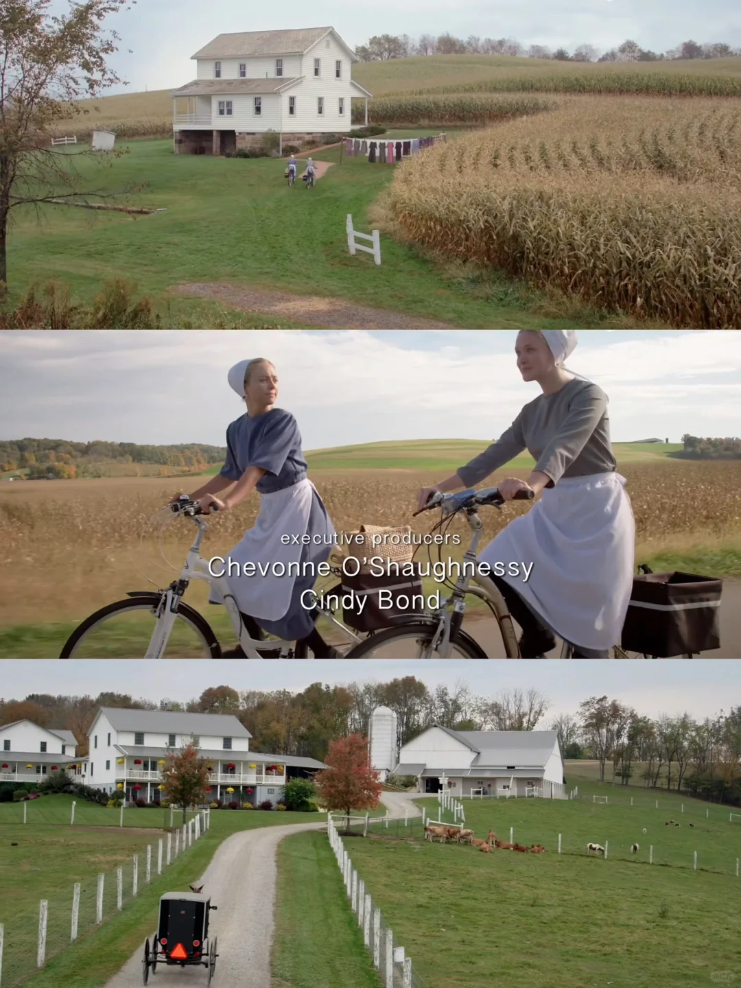 为什么没早点发现这部电影😭