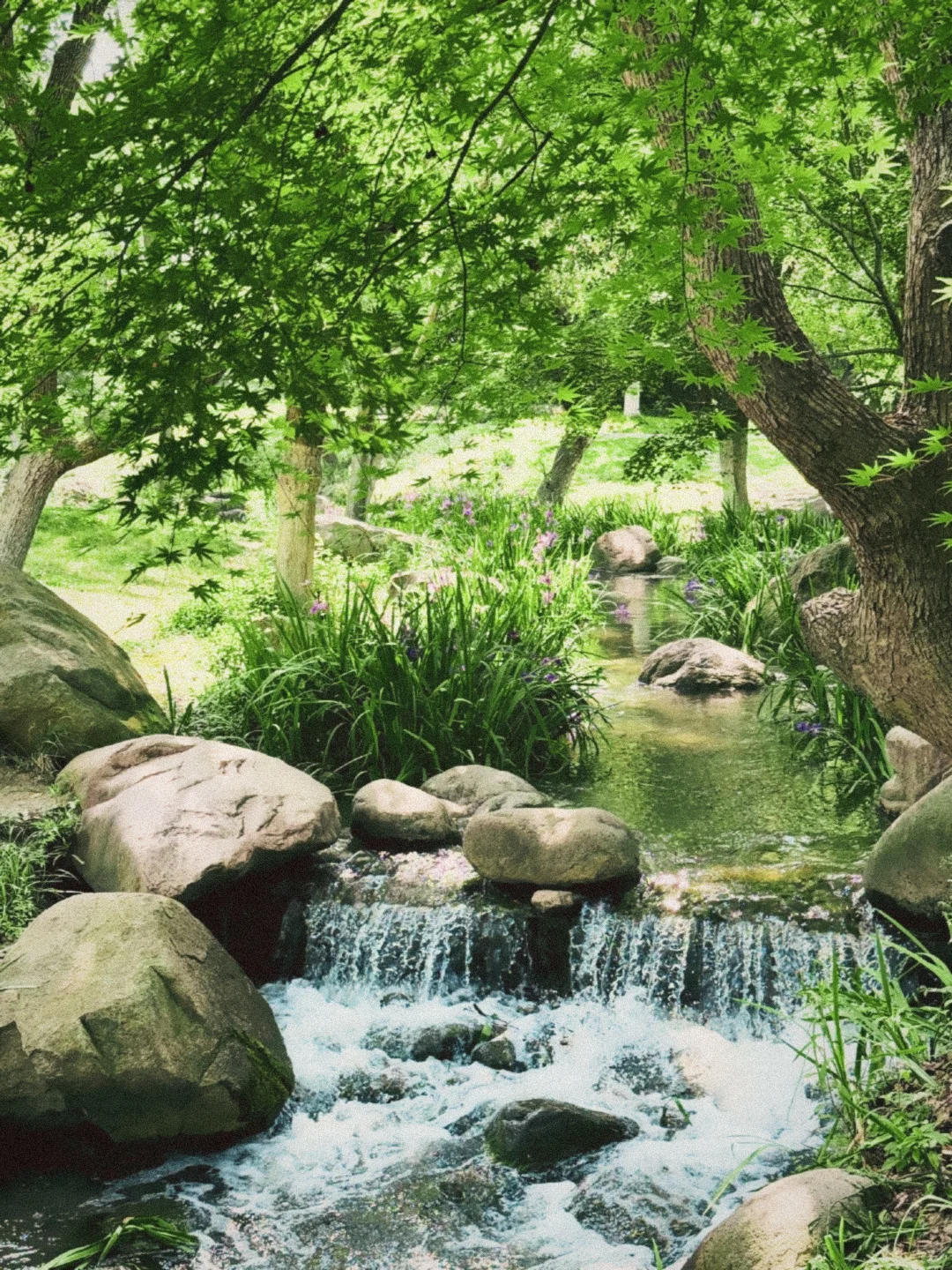 谁懂啊！我终于找到了最最像胶片机的app