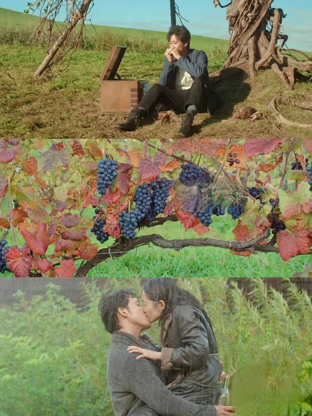 这电影太太太美好了！