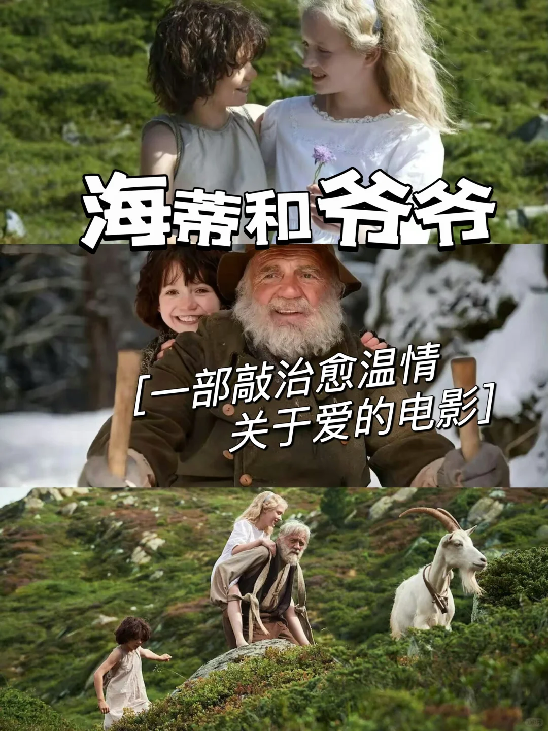 ‼️9.3分❗️一部敲zhi愈且充满爱的电影🎬