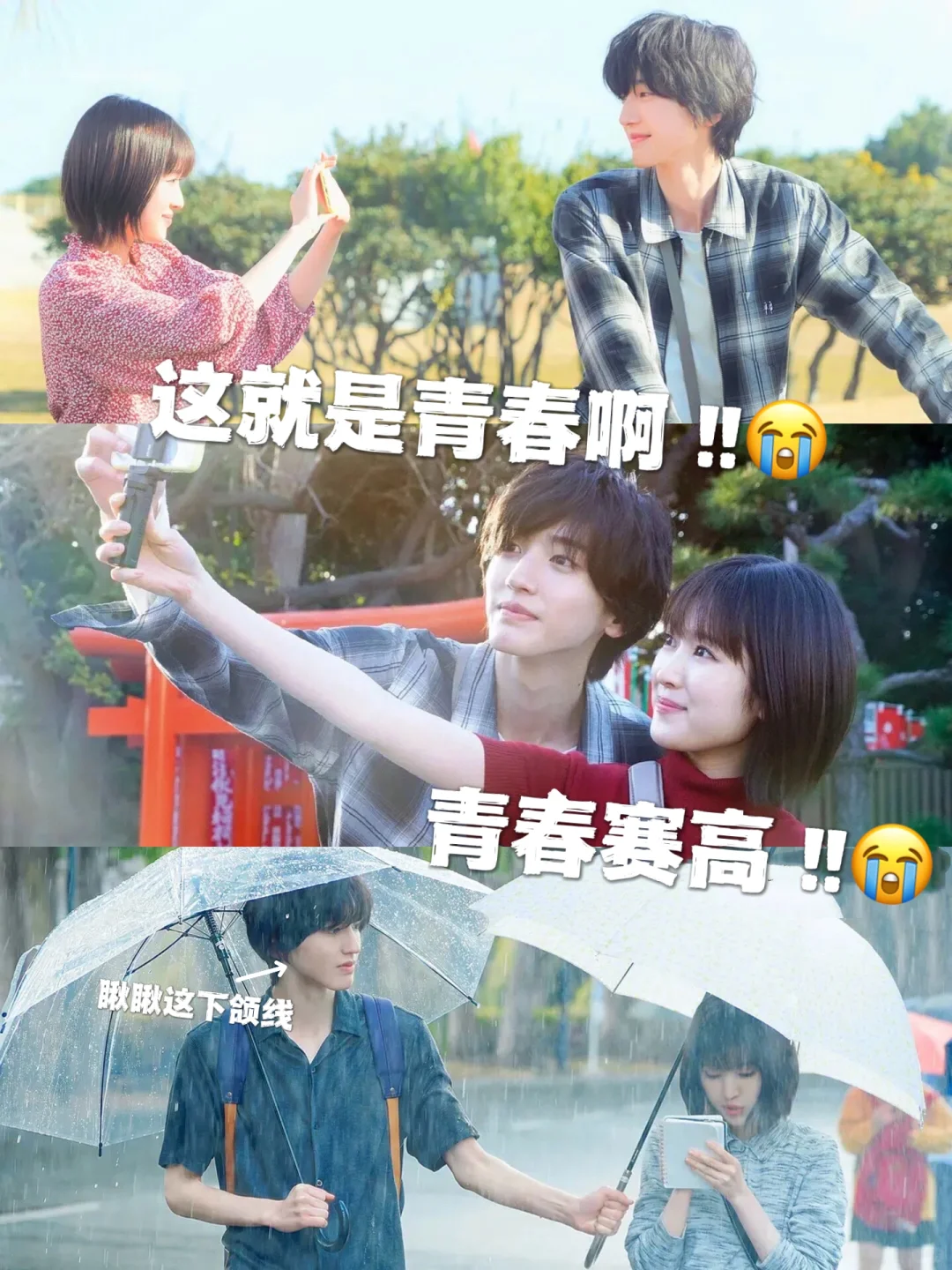 催泪纯爱电影！别以为自己泪点高就不带纸！