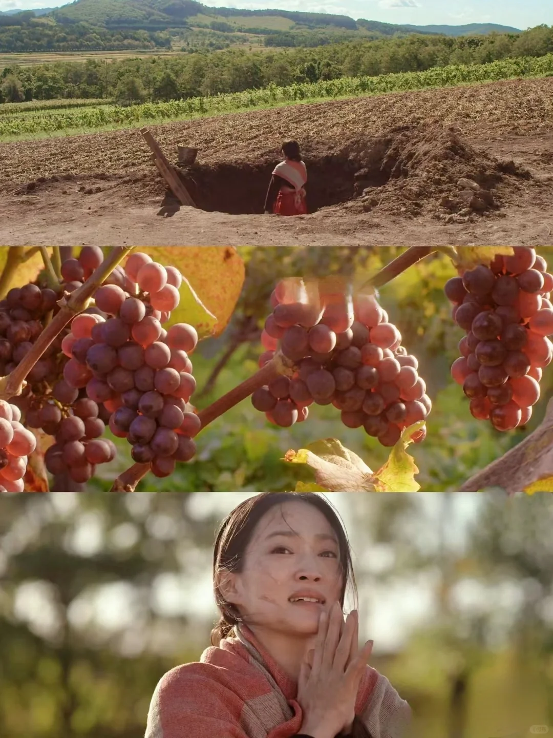 这电影太太太美好了！