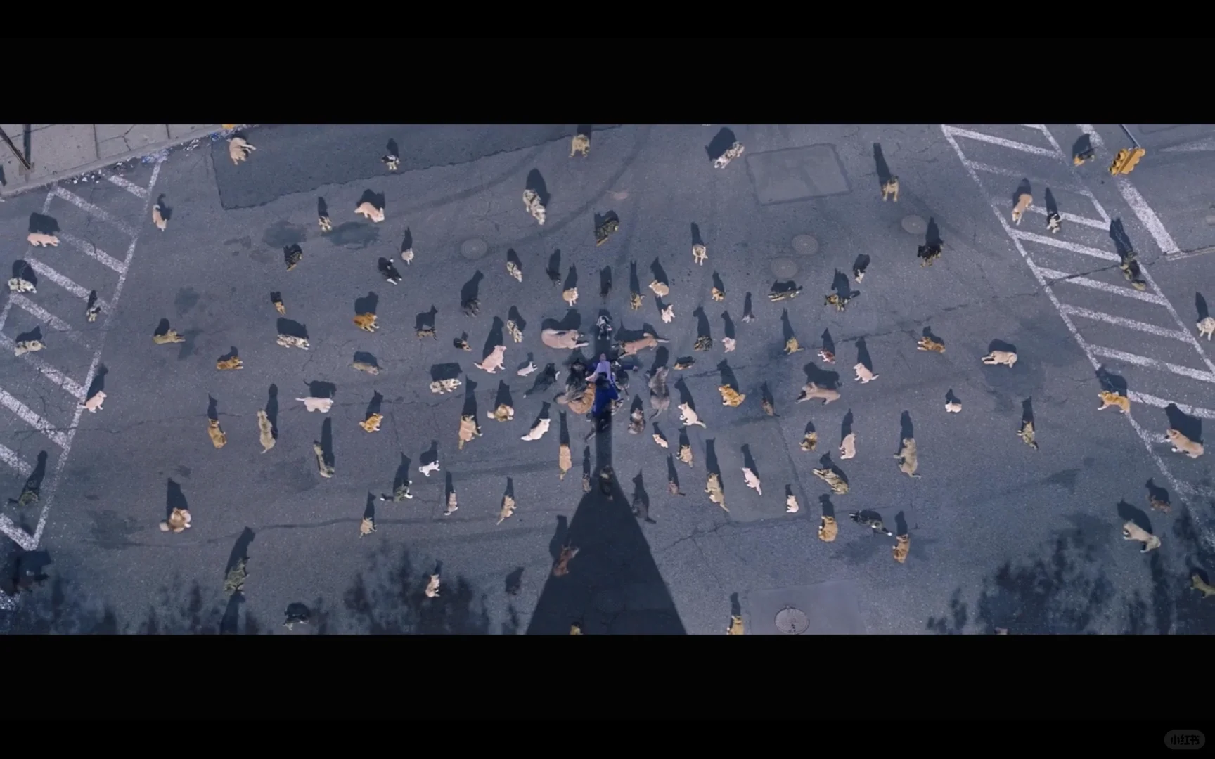 看了这么多电影 通关这些游戏 带给了我什么