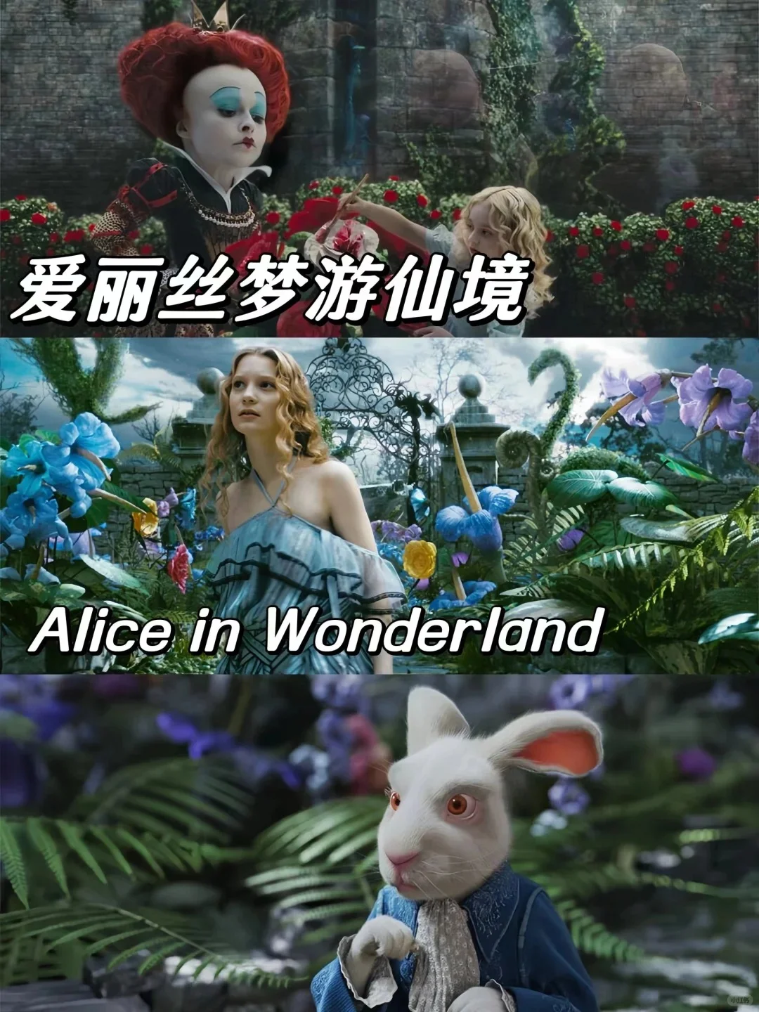 少女心爆棚｜提升审美的奇幻魔法电影推荐