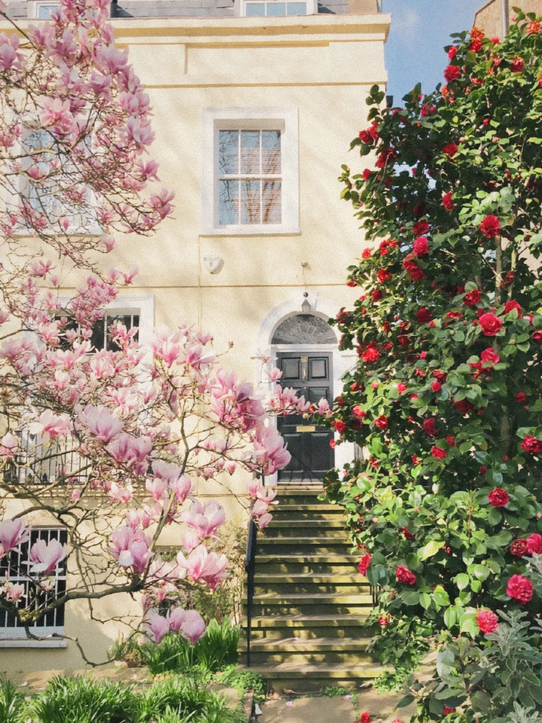 谁懂啊！我终于找到了最最像胶片机的app