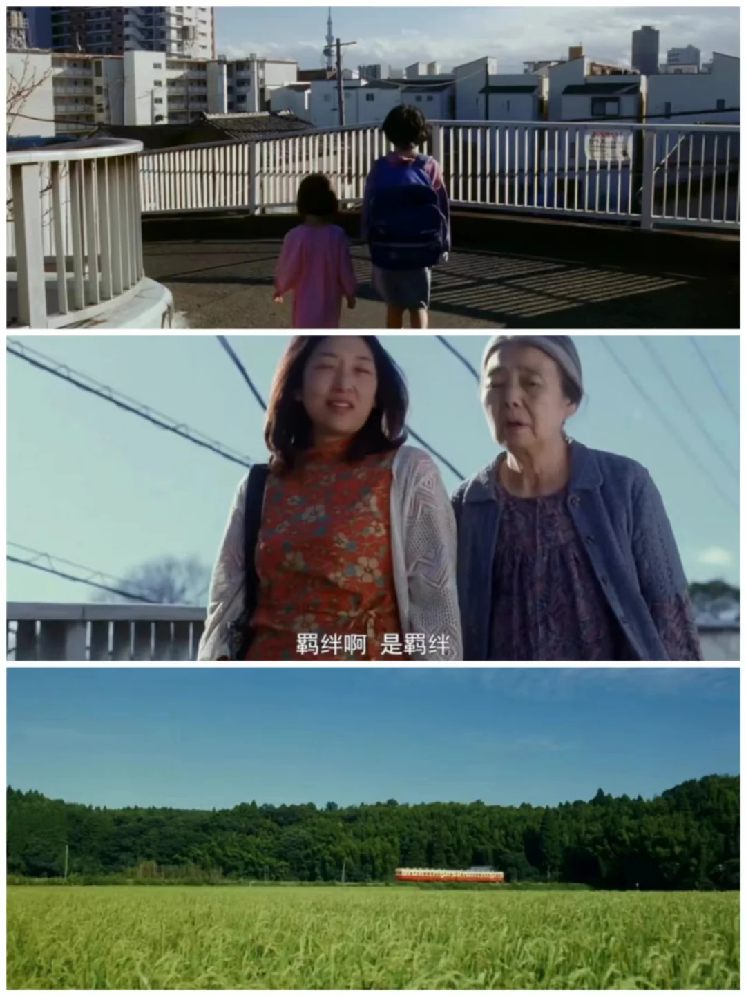 电影分享 0008 小偷家族