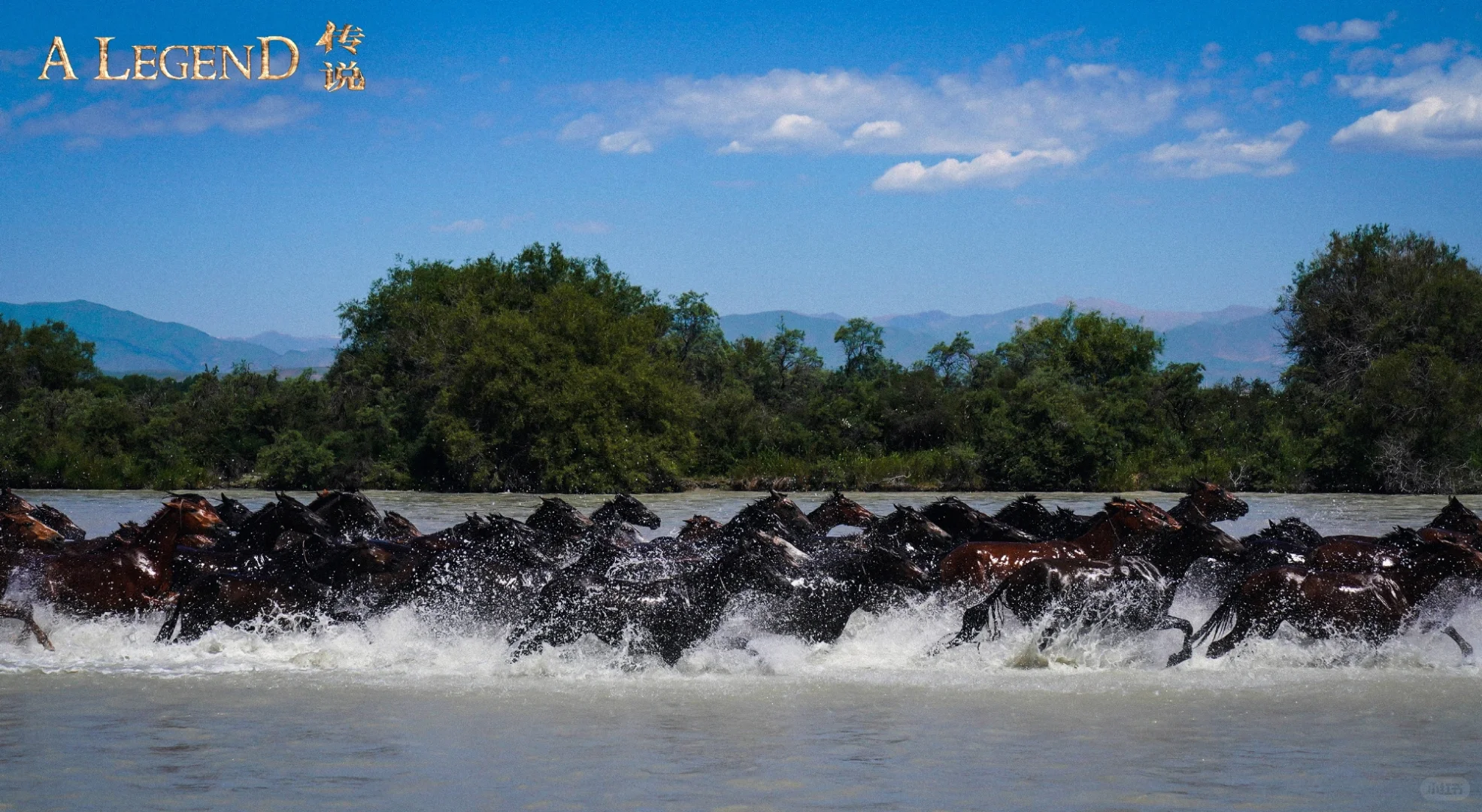 电影《传说》定档7.12号