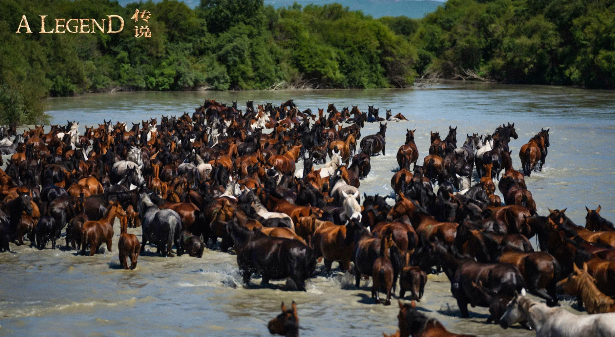 电影《传说》定档7.12号