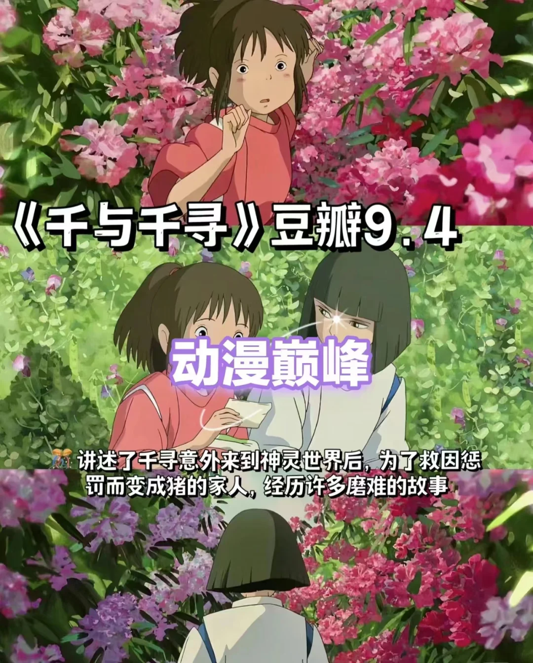 必必必必👀的动漫电影！！！