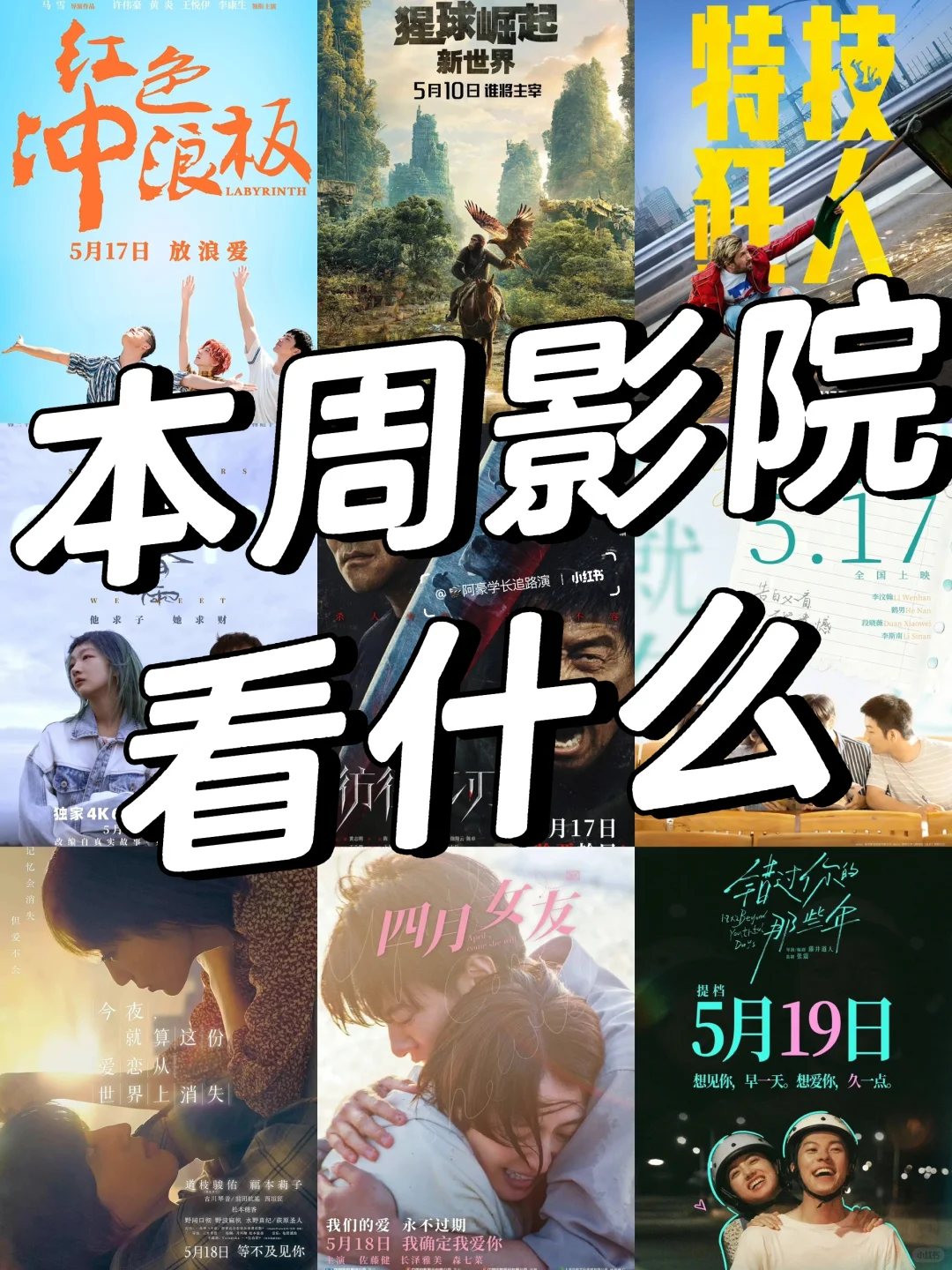 电影推荐004|本周影院看什么