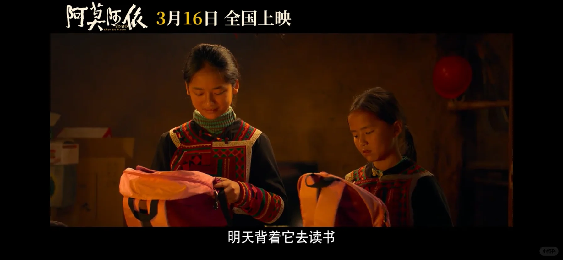 【5月女影快报】5月在映的女性电影汇总