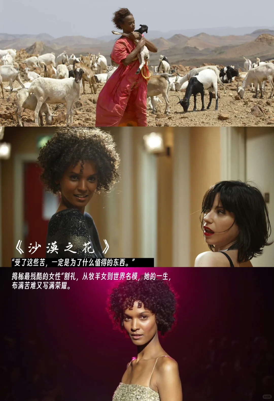 适合女生看的9部电影