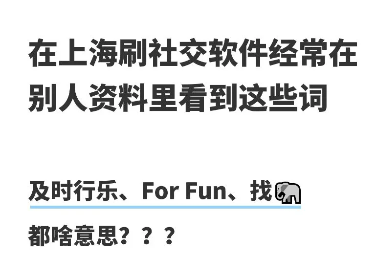 dating app上这些词都是啥意思？家人们求解