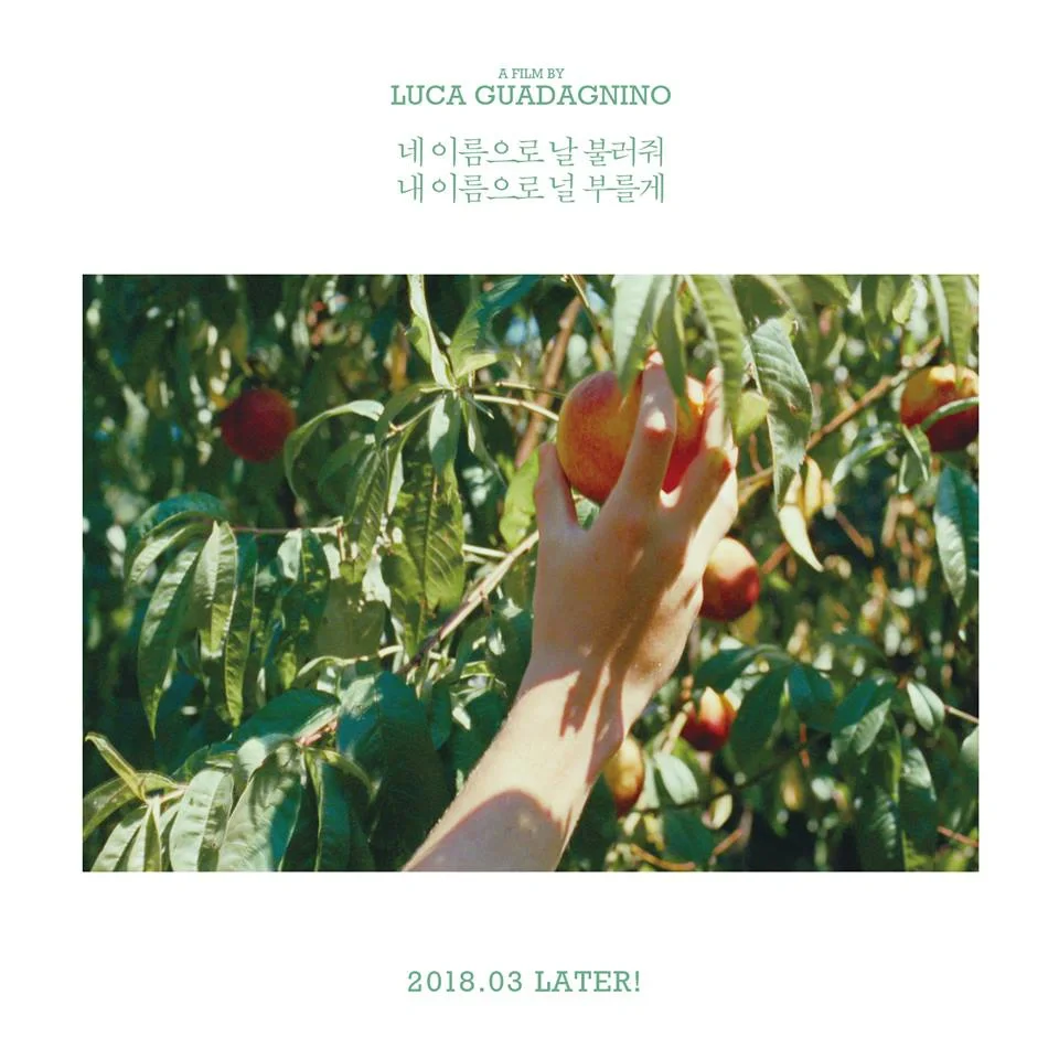 不得不说，韩国电影人的海报sense 真的牛