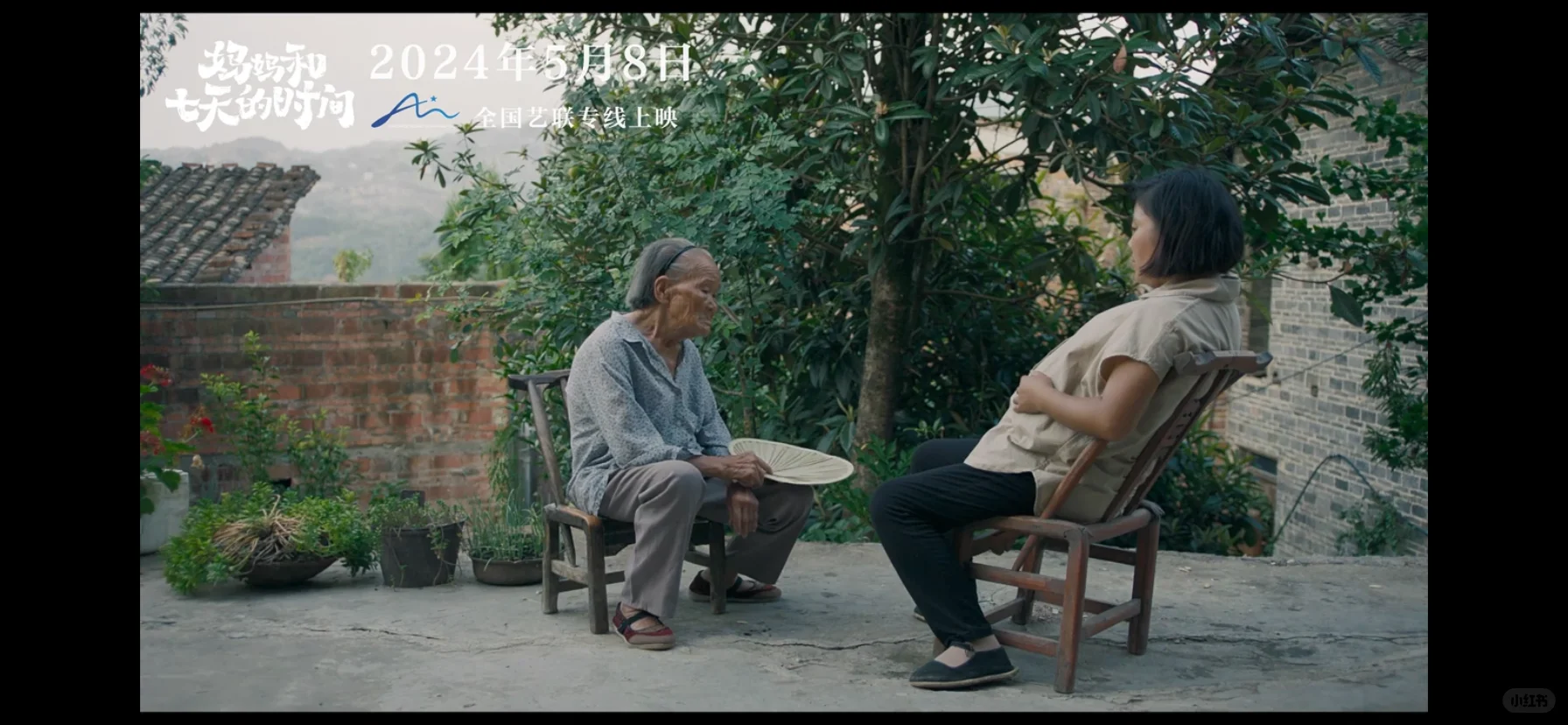 【5月女影快报】5月在映的女性电影汇总