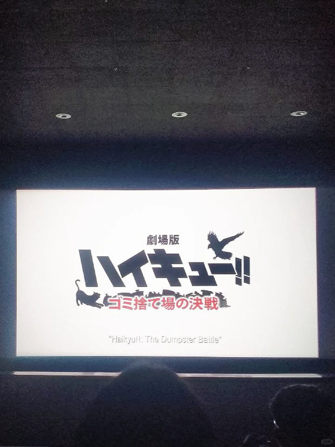 我是来看排球电影的！🏐 🎥