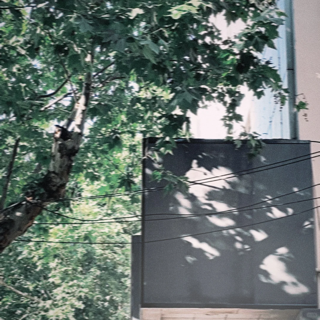 还有谁不知道这个拍照app，我都会伤心