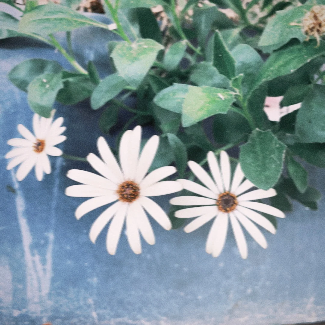 还有谁不知道这个拍照app，我都会伤心