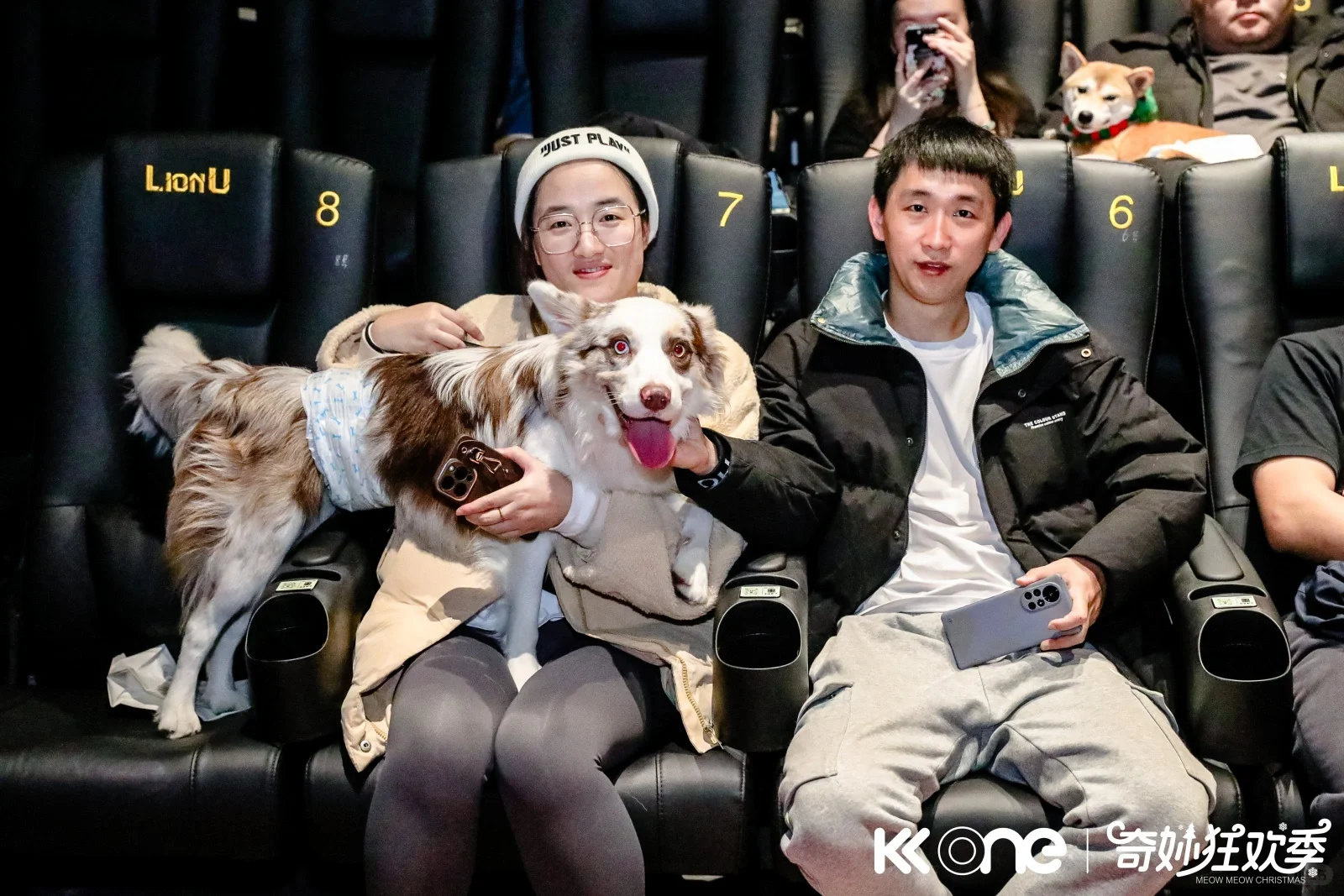 深圳携宠包场看电影『哈儿的移动城堡』～