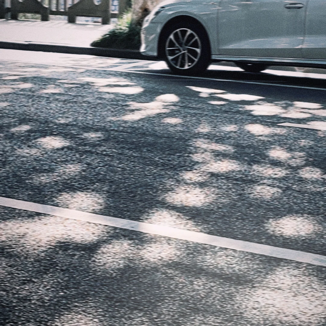 还有谁不知道这个拍照app，我都会伤心