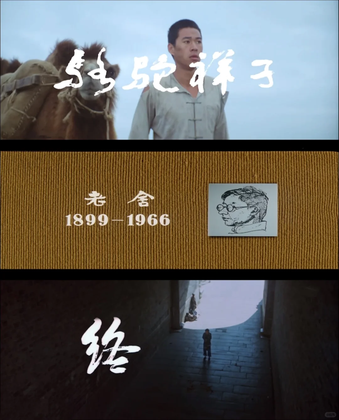 记录一下最近看的电影