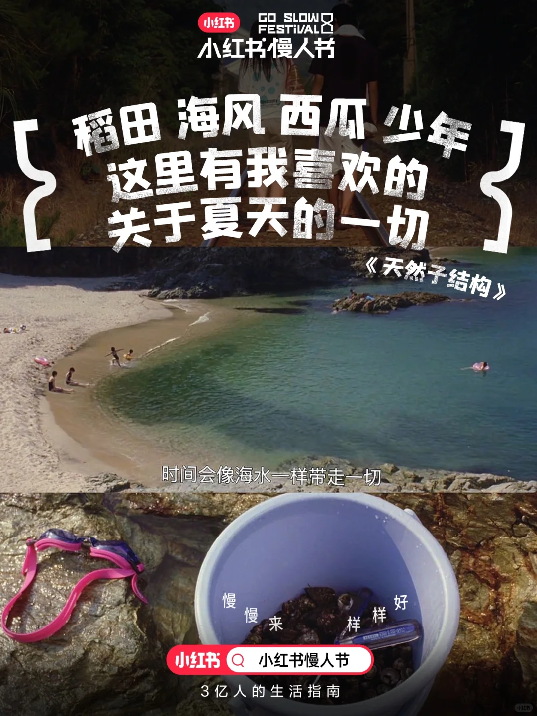 照着（慢影单）慢慢刷，重回一倍速生活