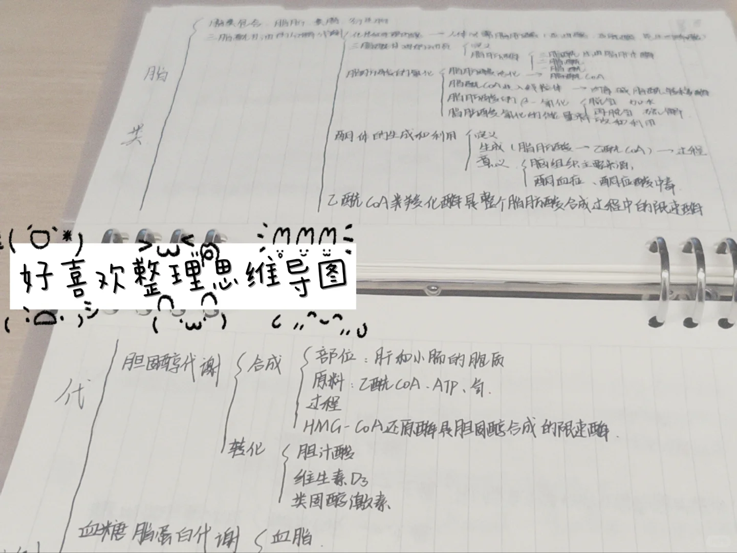 超适合思维性学科的APP