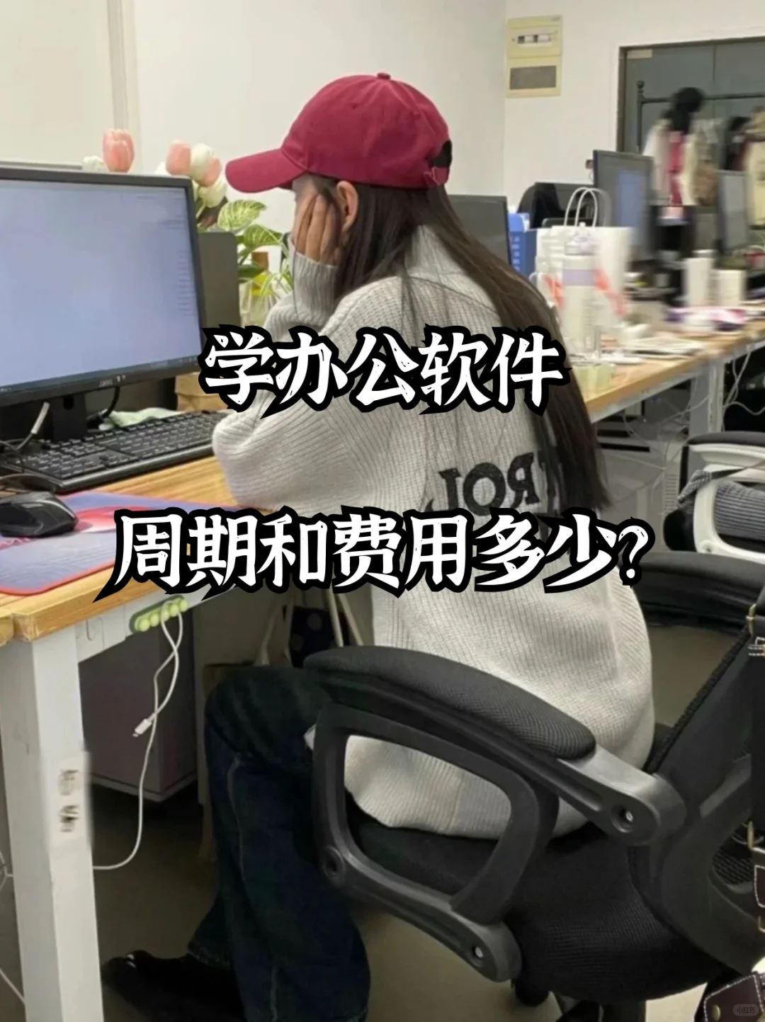 3000元,掌握办公软件技能不再难!