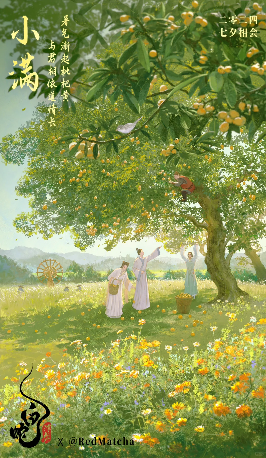 电影🎬白蛇浮生！