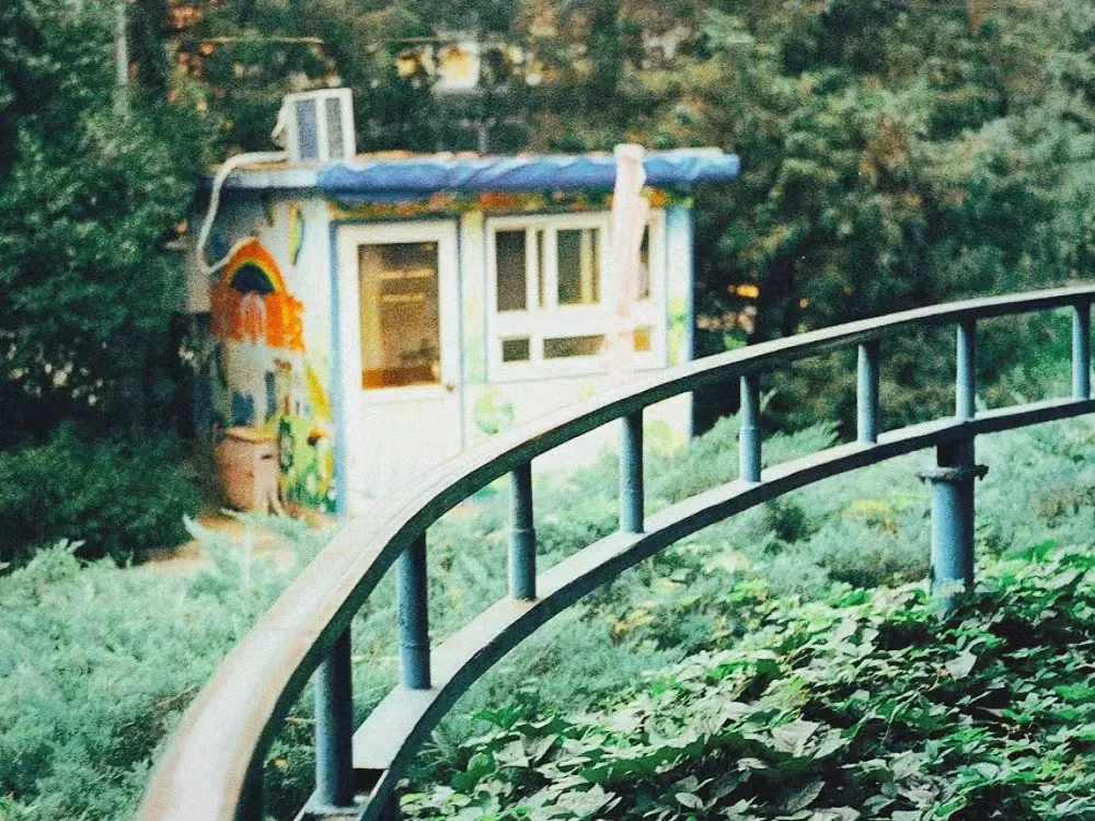 我终于找到了最最最最像胶片相机的app！