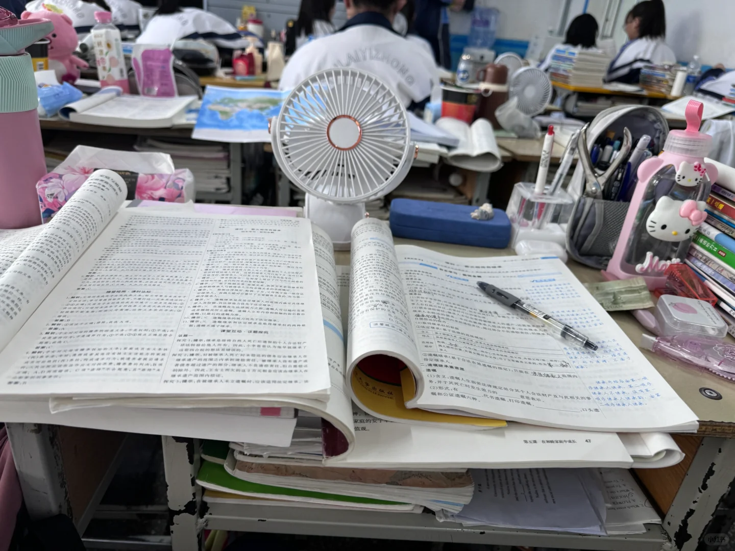 5.20校园 电影🥰